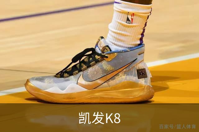 凯发K8平台介绍图片